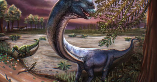 Nagatitan-um-dinossauro-que-pesa-ate-nove-elefantes-descoberto-na.JPG