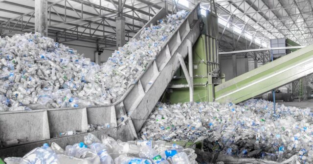 Nathalie-Gontard-Estamos-a-travar-a-guerra-errada-reciclar-plastico.jpg