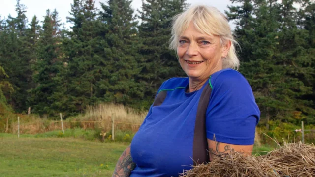No-inicio-de-A-Farmer-Looking-for-a-Wife.webp