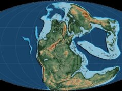 O estado da Terra há 320 milhões de anos pode agora ser visto novamente