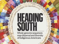 Os antigos sul-americanos chegaram em três ondas e tiveram ancestrais extraordinários