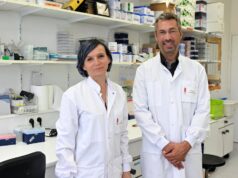 “Os ratos correm mais riscos”: em Toulouse, uma noite para entender como os parasitas manipulam o comportamento do hospedeiro