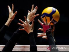 Sergio Veloso foi nomeado técnico da seleção indonésia de vôlei