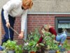 Sob as pedras do pavimento, plantas: na Holanda, os jardineiros mais apaixonados competem para tornar a sua cidade mais verde