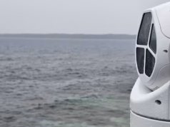 Startup de tecnologia australiana se expandirá nos EUA após recente arrecadação de fundos