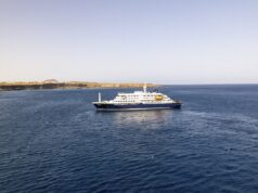 Surto de hantavírus mata três pessoas em navio de cruzeiro no Oceano Atlântico, diz OMS