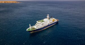 Hantavírus em navio de cruzeiro: passageiro infectado com cepa andina transmitida entre pessoas