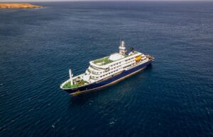 Hantavírus em navio de cruzeiro: passageiro infectado com cepa andina transmitida entre pessoas