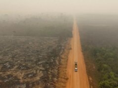 Temperaturas recordes em 2026, “El Niño mais forte”, mais incêndios florestais… esses eventos preocupam cientistas e climatologistas