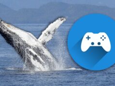 Timmy the Whale – Sempre houve um jogo sobre uma baleia encalhada – mas não muito bom (e não estamos surpresos)