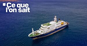 Três mortes, repatriamento organizado, verificação… O que sabemos sobre um possível surto de hantavírus num navio de cruzeiro no Atlântico