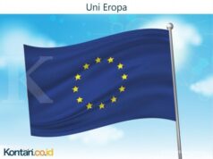 UE exclui couro das regras antidesmatamento