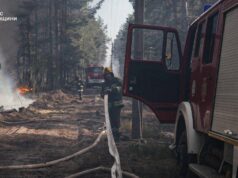 Um incêndio florestal eclodiu na zona radioativa de Chernobyl após o acidente do drone.