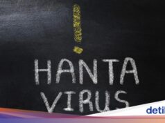 Um passageiro de um navio de cruzeiro canadense testou positivo para hantavírus.