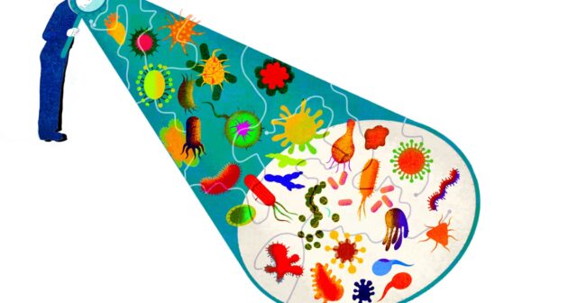 Uma-microbiota-intestinal-variada-evita-que-voce-adoeca.jpg