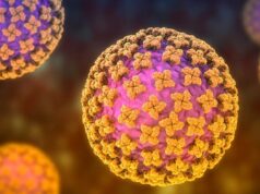 Vacina contra hantavírus: por que ainda não existe soro universal ou tratamento específico