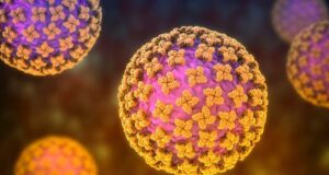 Vacina contra hantavírus: por que ainda não existe soro universal ou tratamento específico