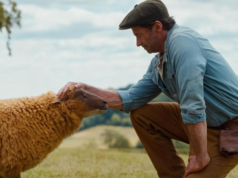 Veja a programação e sinopse de The Sheep Detectives, de Hugh Jackman