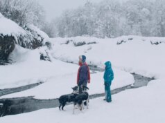 Verdades sombrias jazem sob a neve em The Fall (clipe exclusivo de Cannes)