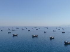 A Alemanha aconselha: Passagem gratuita para navios mercantes?