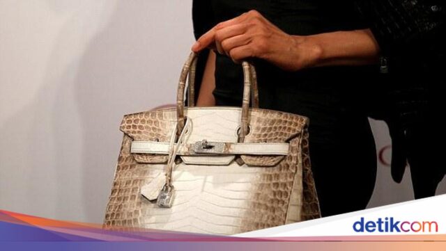 A-bolsa-Hermes-Birkin-agora-pode-ser-alugada-por-IDR.jpg