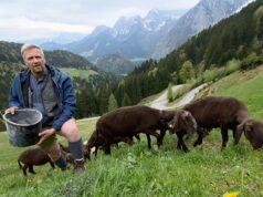 “A terra dos agricultores felizes”: Porque é que a relva parece mais verde na Áustria?