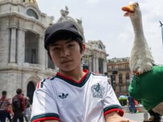Algo animal está acontecendo: um pato está deixando o México, anfitrião da Copa do Mundo, absolutamente louco