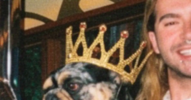Bill-Kaulitz-vai-realmente-comemorar-o-aniversario-de-um-cachorro.png