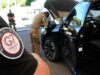 Cimeira do G7 em Evian: mais de um terço dos sapadores franceses mobilizados para garantir a segurança