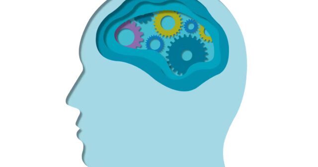 Como-um-unico-cerebro-fala-duas-linguas.jpg