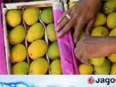 Depois do Japão, o Nepal proibiu a manga indiana