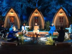 Disney+ e a equipe da emissora pública holandesa NPO estão trabalhando em uma adaptação local de Werewolves, Wolven.