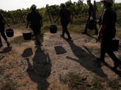 Drama na Itália: 4 trabalhadores agrícolas queimados vivos na Calábria