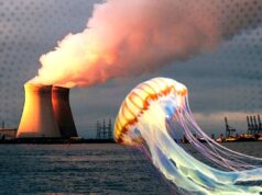 Energia – O calor da crise climática trouxe um novo inimigo às centrais nucleares de França – e à natação
