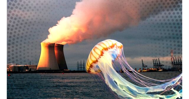 Energia-O-calor-da-crise-climatica-trouxe-um-novo.jpg