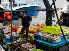 Enfrentando muitos desafios, profissionais da pesca se reúnem em Cherbourg