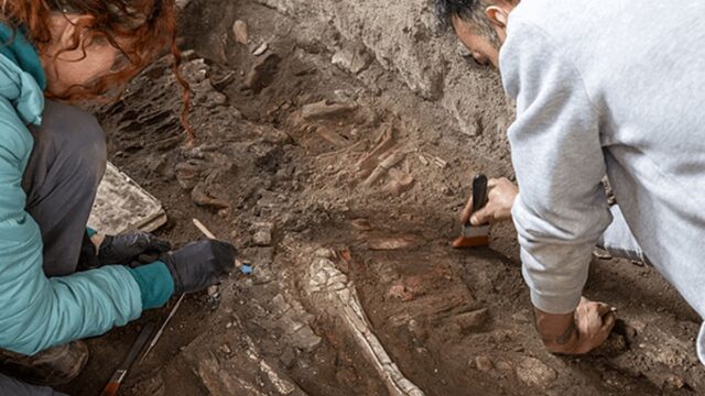 Escavacoes-em-Pompeia-descoberta-de-um-esqueleto-de-cavalo-na.jpg