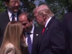 Eurosapping: Georgia Meloni ofendida respondeu a Donald Trump