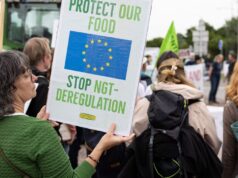 NGT: o que mudará a lei sobre “novos OGM” na Europa?