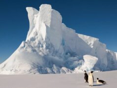 Nas entranhas da Antártida, centenas de terremotos “impossivelmente” profundos estão intrigando os cientistas