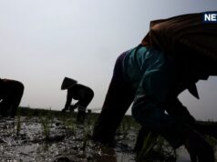 O que há no El Nino ‘Godzilla’ que tem medo dos cientistas? Como as mudanças climáticas no Oceano Pacífico afetarão o mundo?