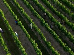 Onda de calor em França: agricultura, escolas, comboios e saúde sob pressão