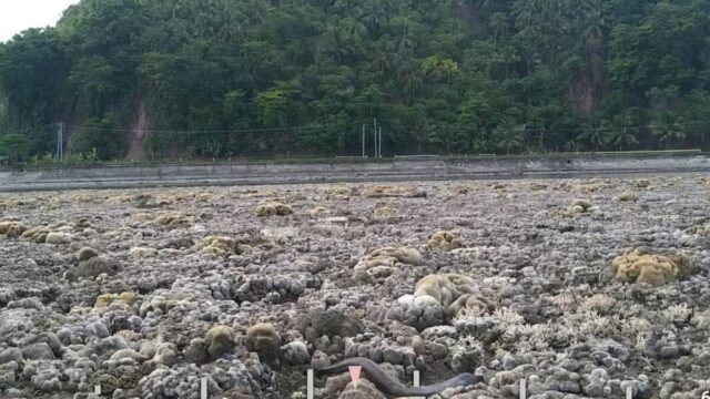 Onde-o-navio-flutuava-o-solo-seco-agora-e-visivel.jpg