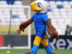 Para prever os resultados dos jogos da Copa do Mundo, conte os pássaros!