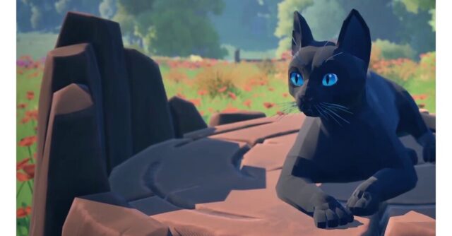 Pokemon-Snap-com-gatos-em-Cat-a-Photo-voce-se.jpg
