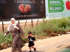 “Sánchez vendeu o que temos de mais valioso, a nossa nacionalidade”: reportagem na Espanha dividida sobre campanha para organizar 500 mil estrangeiros