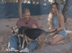 “The Bachelors”: quebra-cabeça dos fãs após o cancelamento – Sebastian Paul realmente fez a escolha certa?