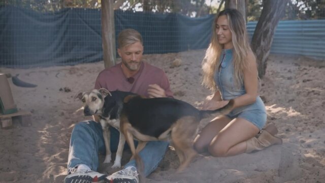 The-Bachelors-quebra-cabeca-dos-fas-apos-o-cancelamento-Sebastian.jpg