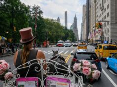 Um jovem morreu em um acidente de carro no Central Park, em Nova York