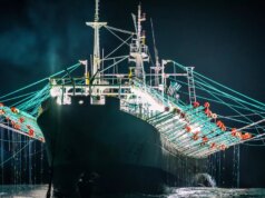 Um relatório contundente sobre a pesca “leve” dominada pela China que está esvaziando os mares de lulas